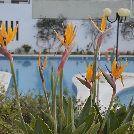 Apartamento Proximo Da Marina Vilamoura C/Piscina E Estacionamento Exterior foto