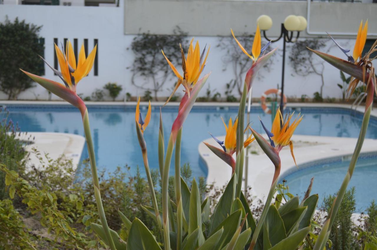 Apartamento Proximo Da Marina Vilamoura C/Piscina E Estacionamento Exterior foto